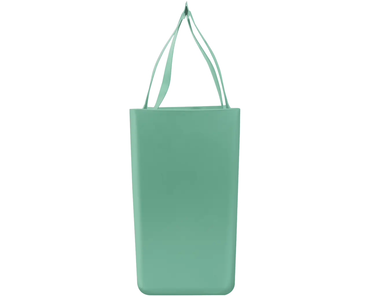 АС 72190000 (reed) камыш_2.webp